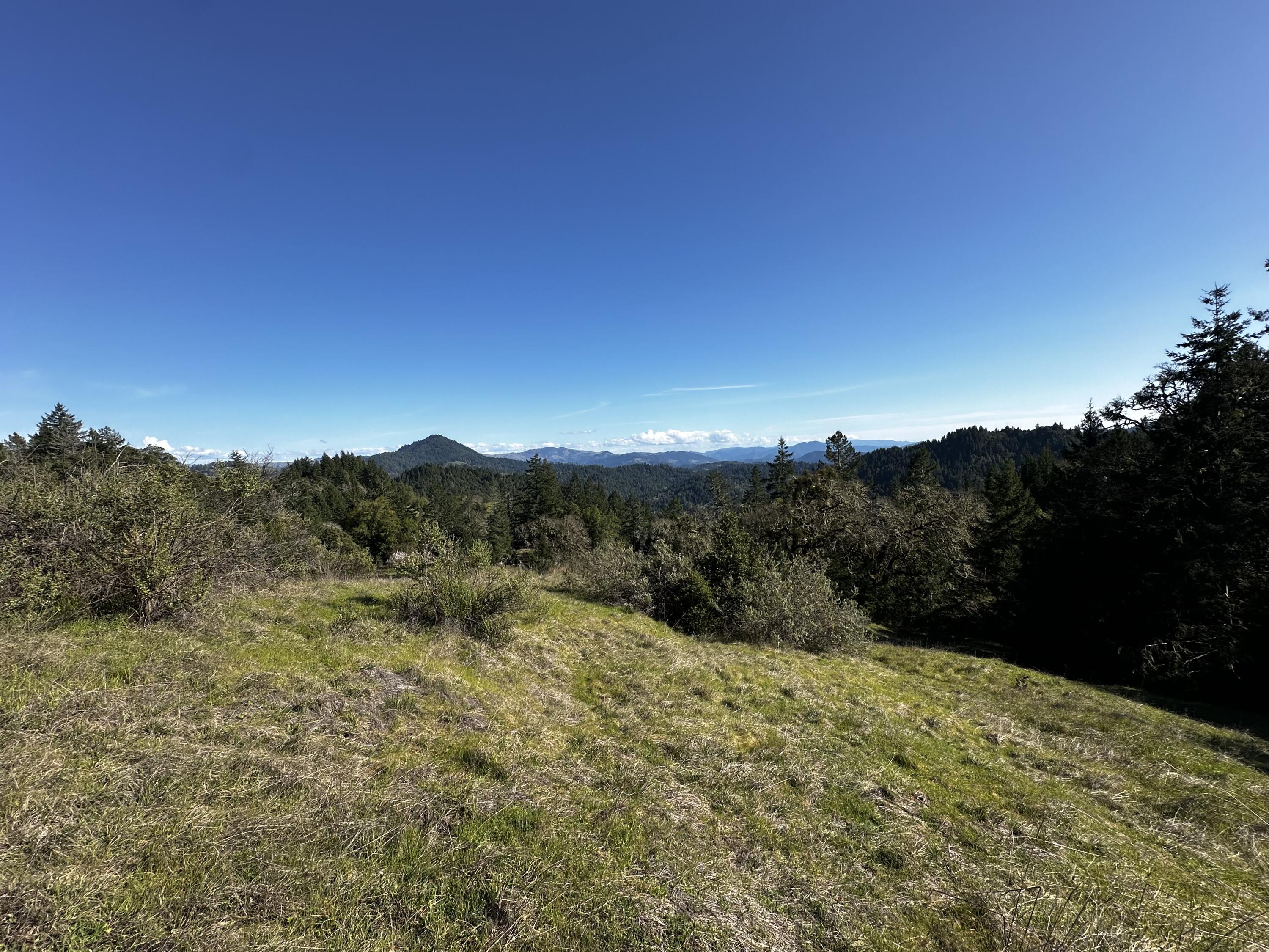 4300 Thomas Road Miranda, CA 95553 - Photo 52 of 59 a view of a mountain range with trees in the background