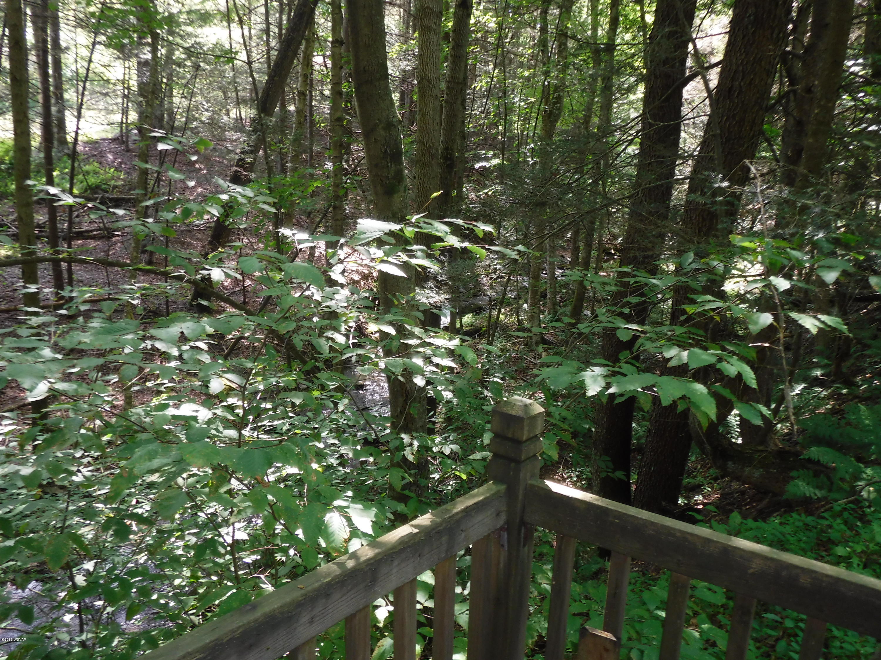 627 Litzelman Road Dushore, PA 18614 - Photo 13 of 19 DSCF4314