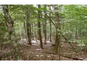 79 North Groton Road Hebron, NH 03241 - Photo 2 of 5