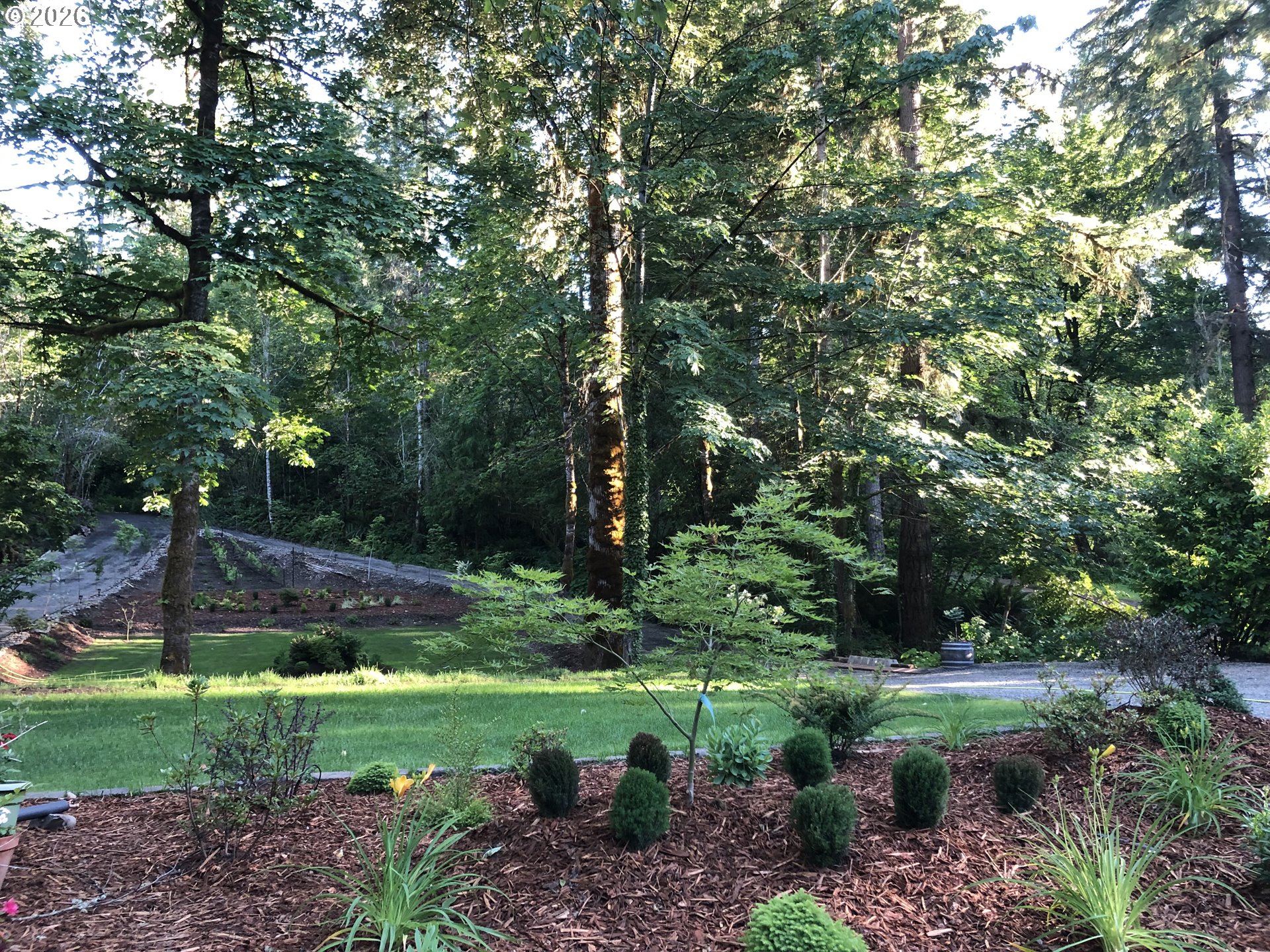 47207 Goodpasture Road Vida, OR 97488 - Photo 3 of 7