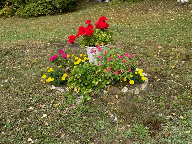 $975,000 | 133 Ben Dexter Road, Topsham, VT 05086