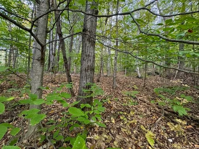 $975,000 | 133 Ben Dexter Road, Topsham, VT 05086