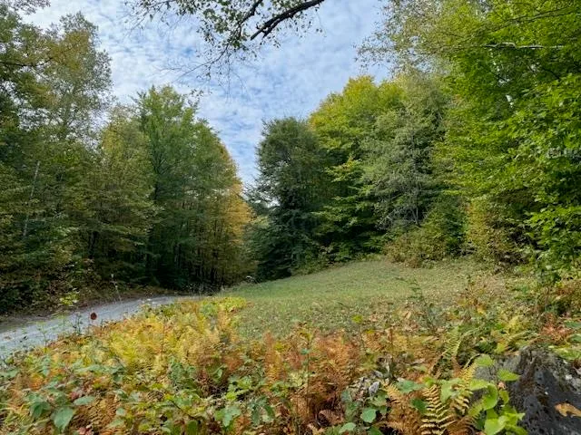 $975,000 | 133 Ben Dexter Road, Topsham, VT 05086