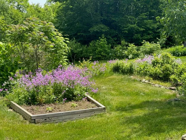 $975,000 | 133 Ben Dexter Road, Topsham, VT 05086