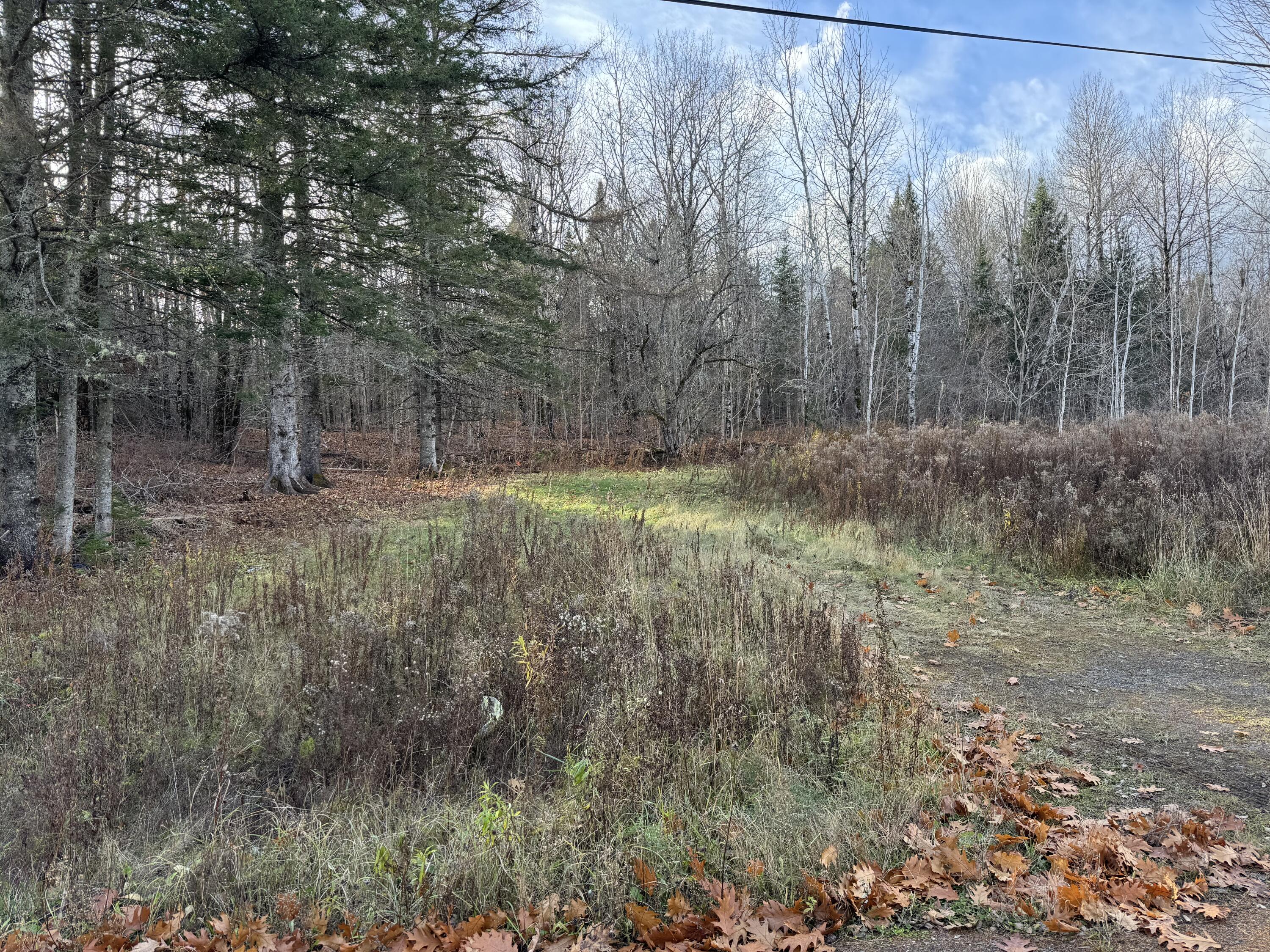 Map11-lot1 High Street Westfield, ME 04787 - Photo 11 of 11 IMG_2433