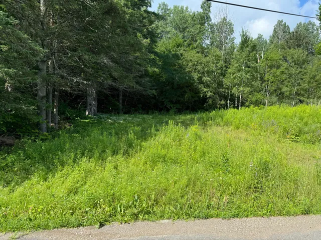 $29,500 | Map11-lot1 High Street, Westfield, ME 04787