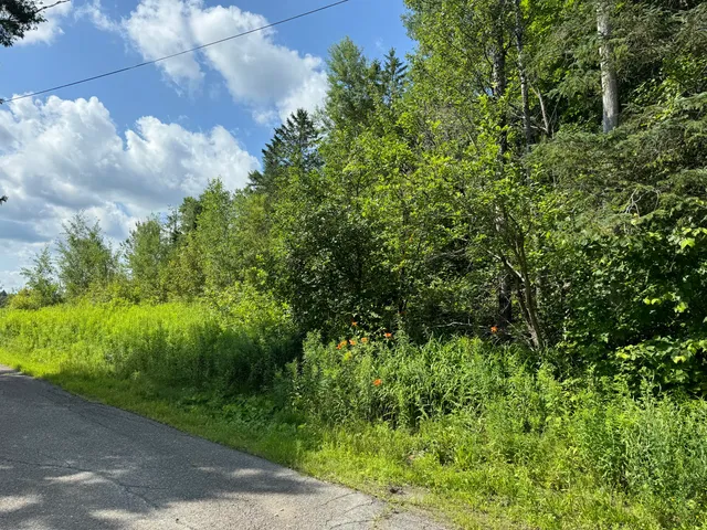 $29,500 | Map11-lot1 High Street, Westfield, ME 04787