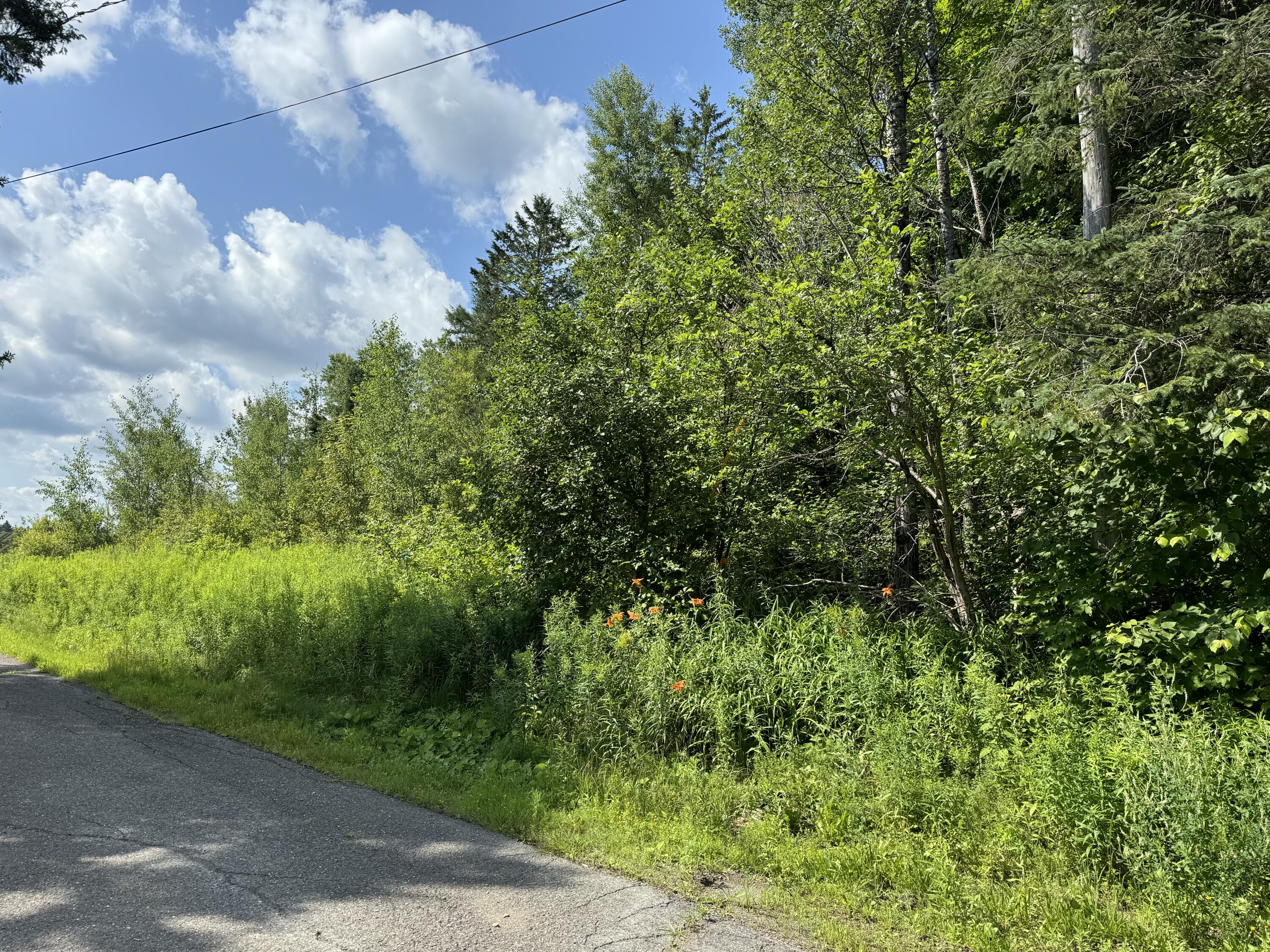 Map11-lot1 High Street Westfield, ME 04787 - Photo 3 of 11 IMG_1652