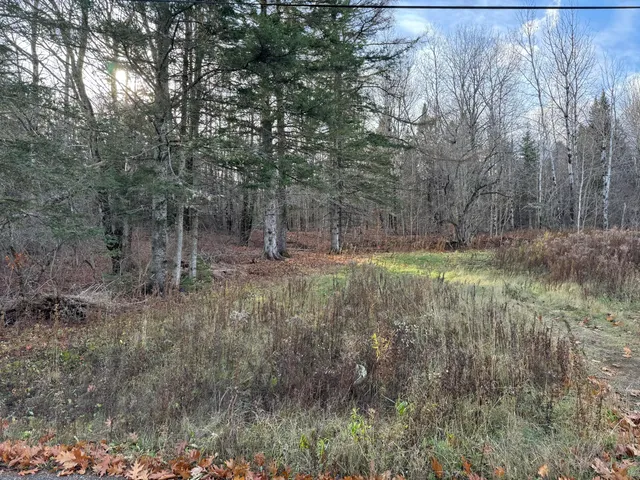 $29,500 | Map11-lot1 High Street, Westfield, ME 04787
