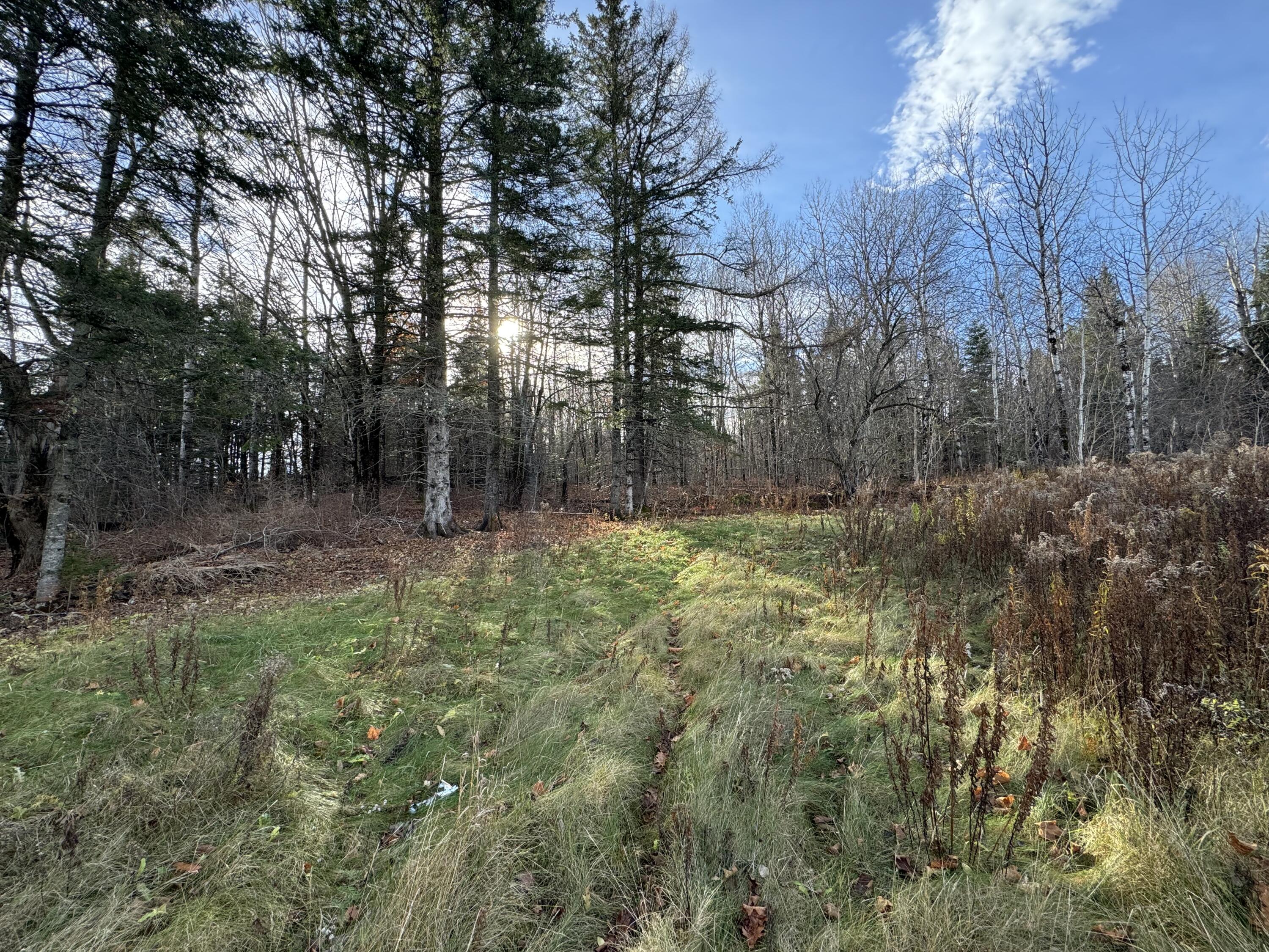 Map11-lot1 High Street Westfield, ME 04787 - Photo 5 of 11 IMG_2427