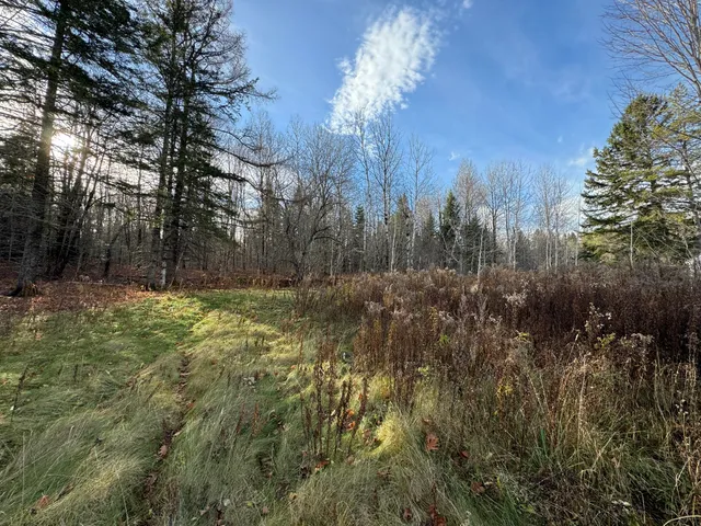$29,500 | Map11-lot1 High Street, Westfield, ME 04787
