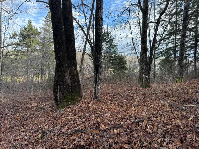 $29,500 | Map11-lot1 High Street, Westfield, ME 04787