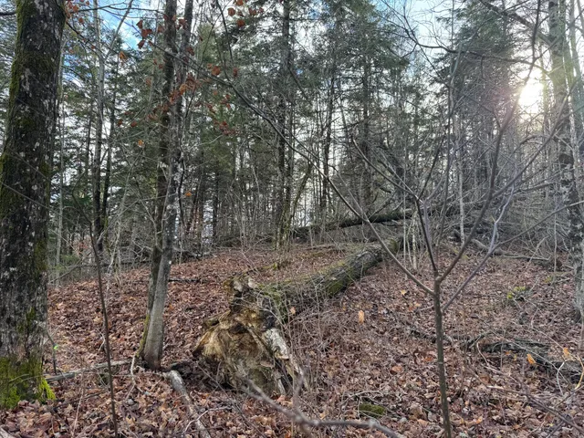 $29,500 | Map11-lot1 High Street, Westfield, ME 04787