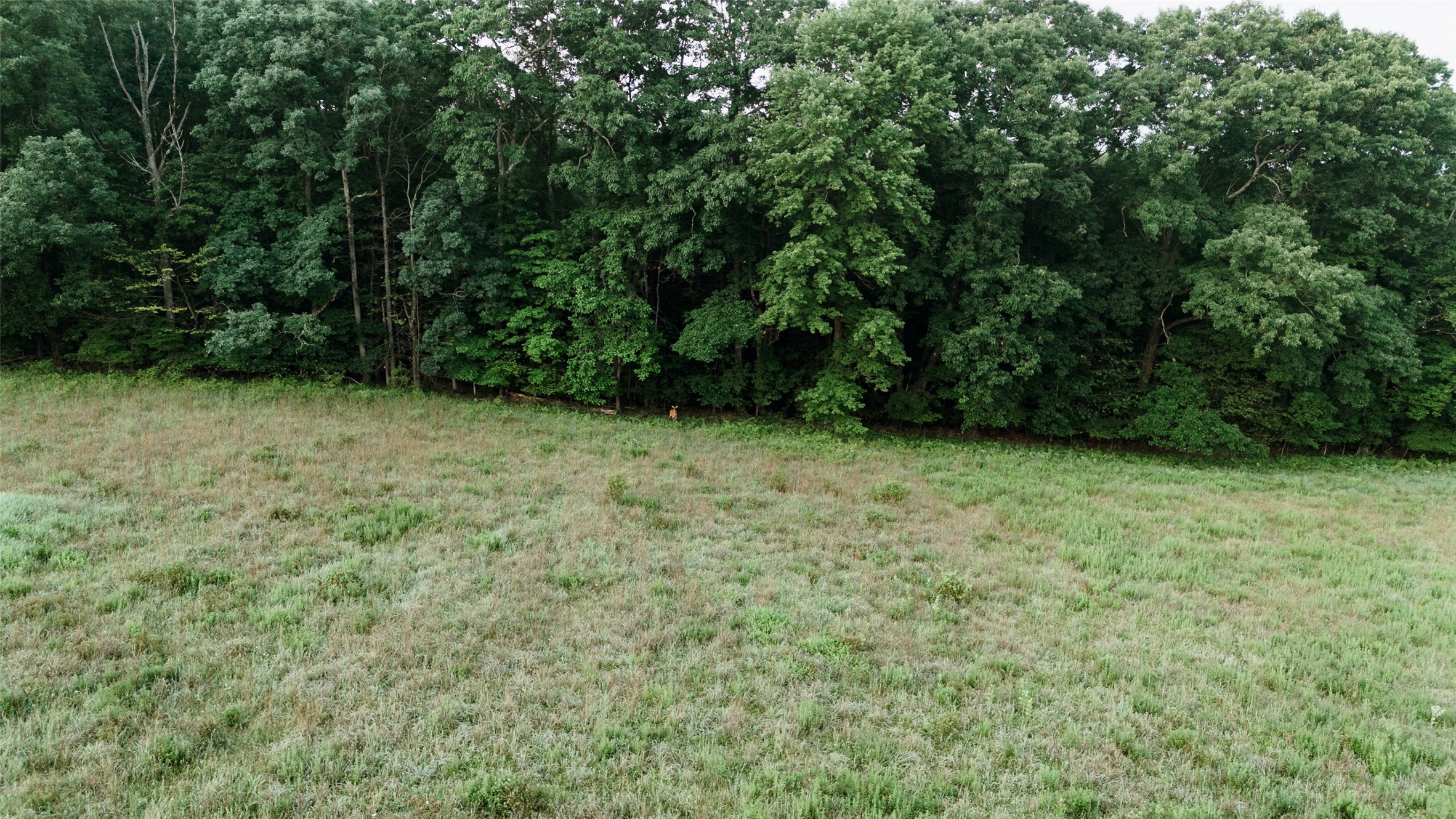 Mccaully Hill Road Tidioute, PA 16351 - Photo 16 of 26 Gallery Image 16