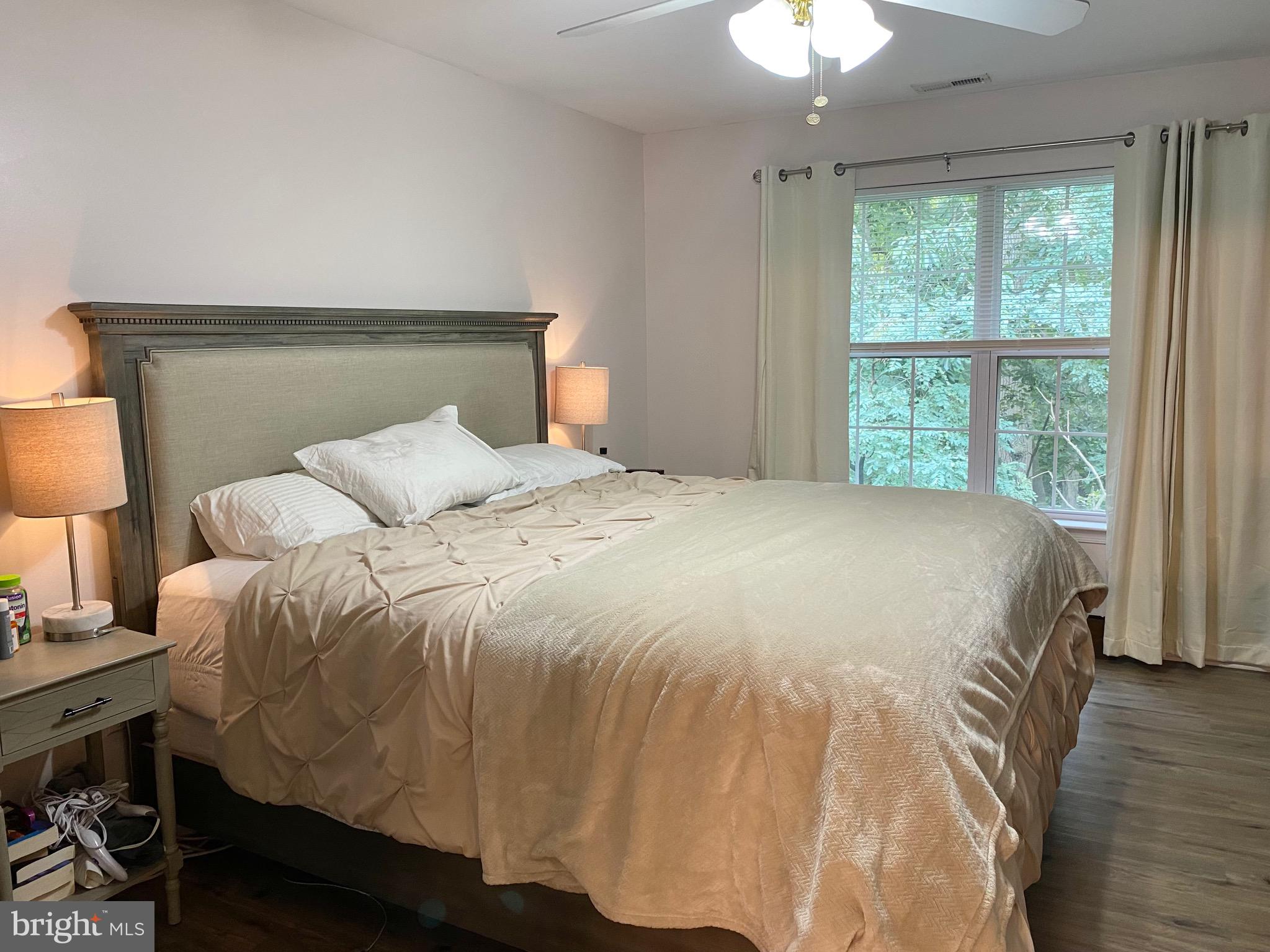 135 Natalie Road Riverside, NJ 08075 - Photo 12 of 18 Main Bedroom with Ceiling Fan - View of Woods