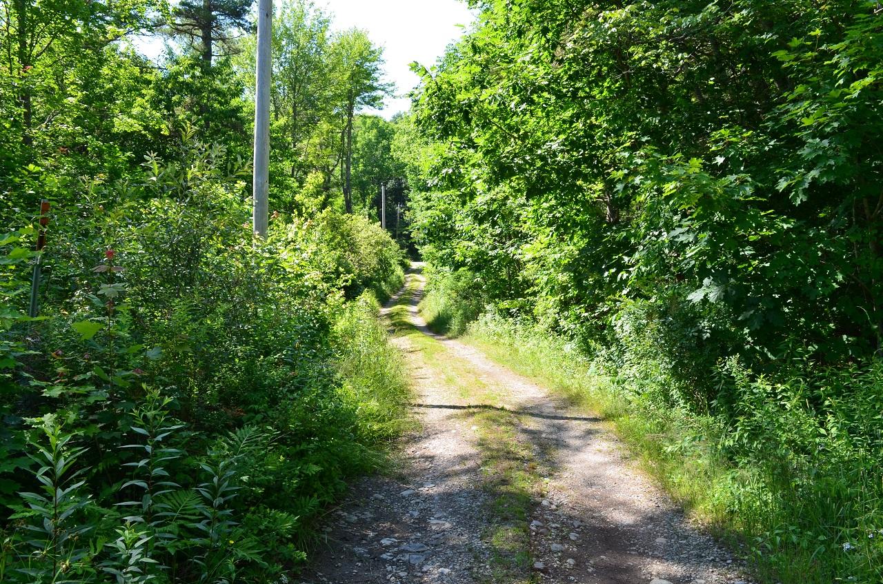 5 Long Wharf Road Newcastle, ME 04553 - Photo 6 of 6 006