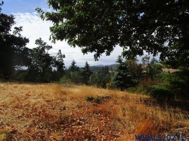 1066 Twin Hills Road Southeast Jefferson, OR 97352 - Photo 3 of 13