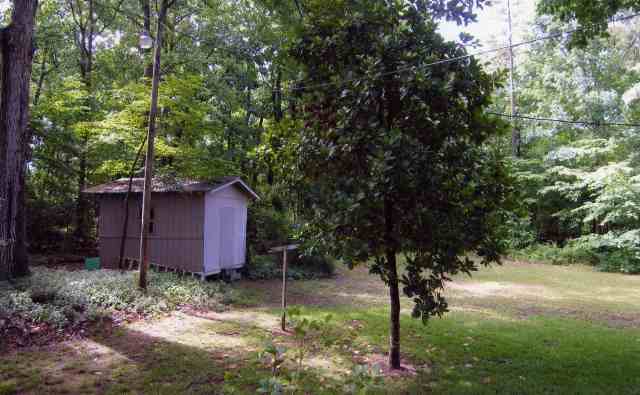 119 Rhonda Road Central, SC 29630 - Photo 3 of 8