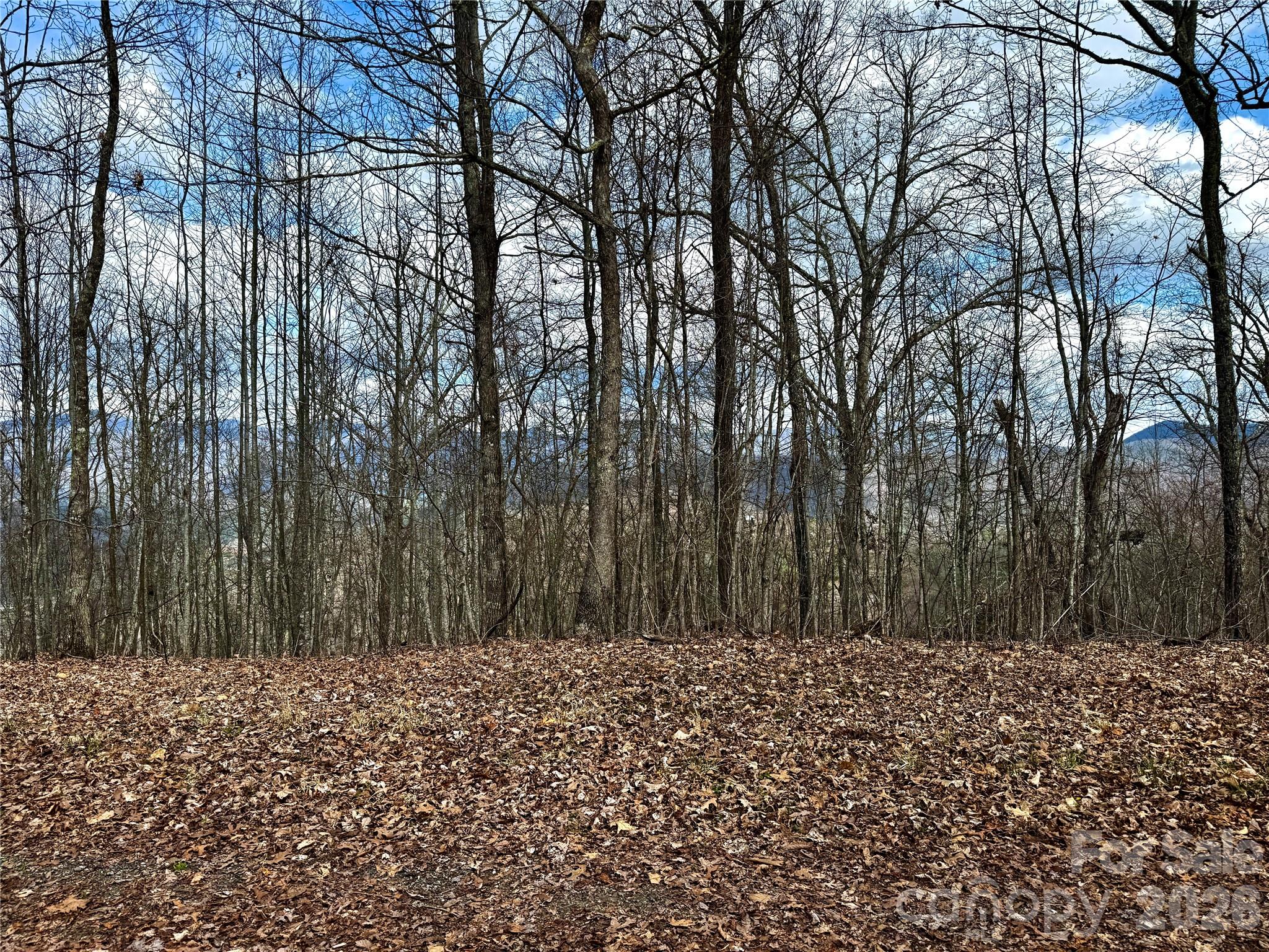 0 Lone Oak Ridge, Unit 42 Franklin, NC 28734 - Photo 13 of 13
