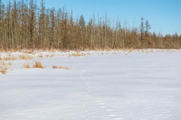 $24,900 | Tbd 36th Avenue Southwest, Pine River, MN 56474