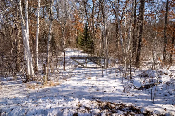 $24,900 | Tbd 36th Avenue Southwest, Pine River, MN 56474