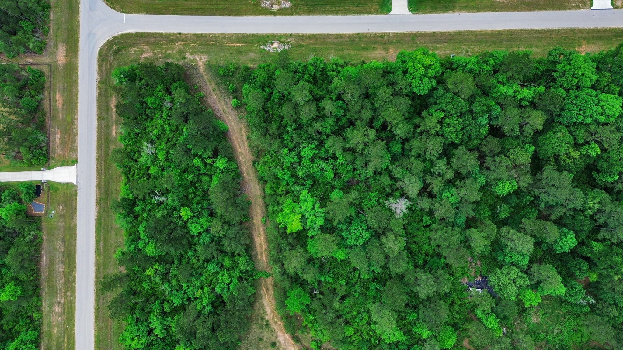 10517 Single Shot Lane Willis, TX 77378 - Photo 12 of 42