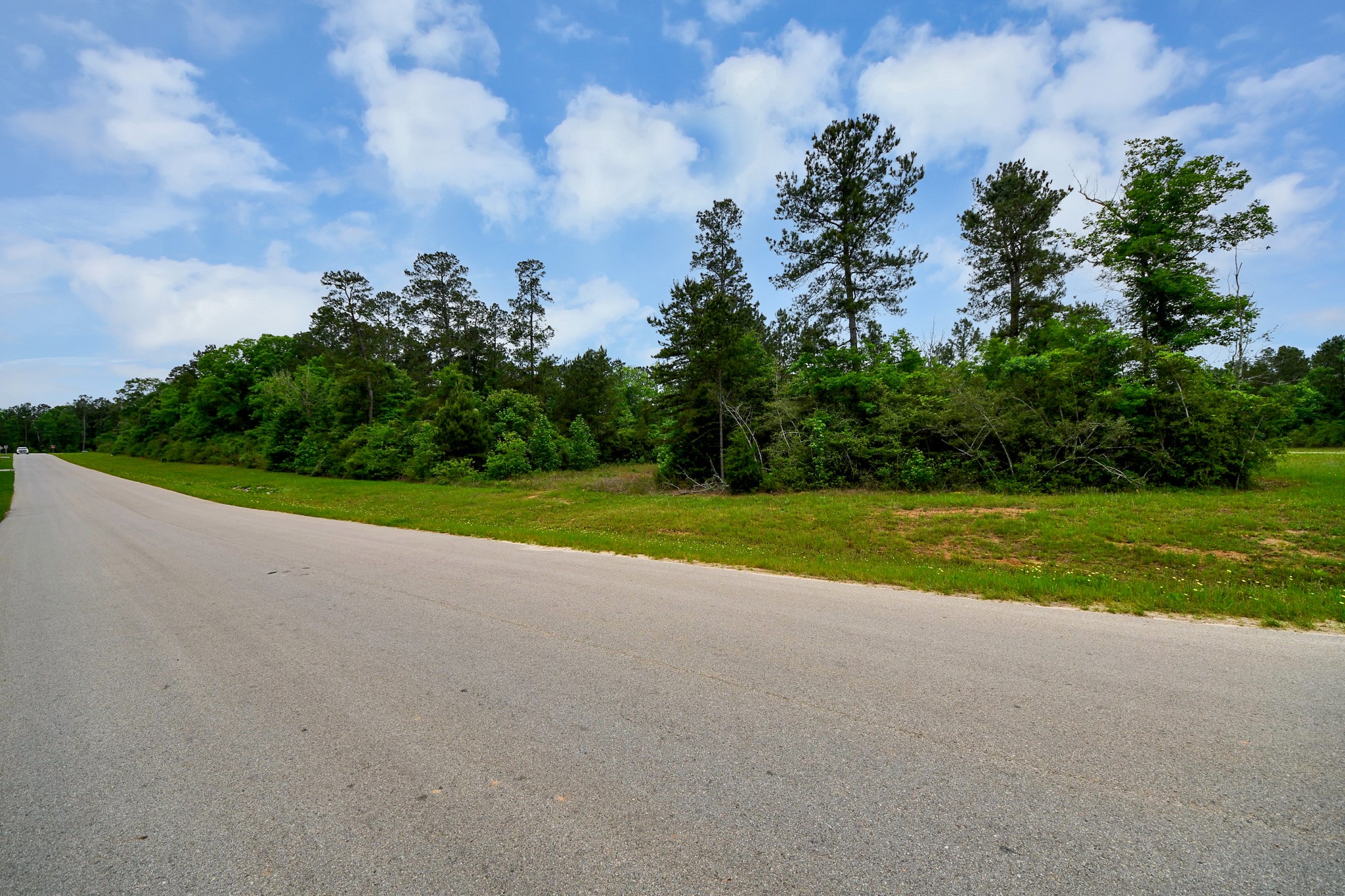 10517 Single Shot Lane Willis, TX 77378 - Photo 21 of 42