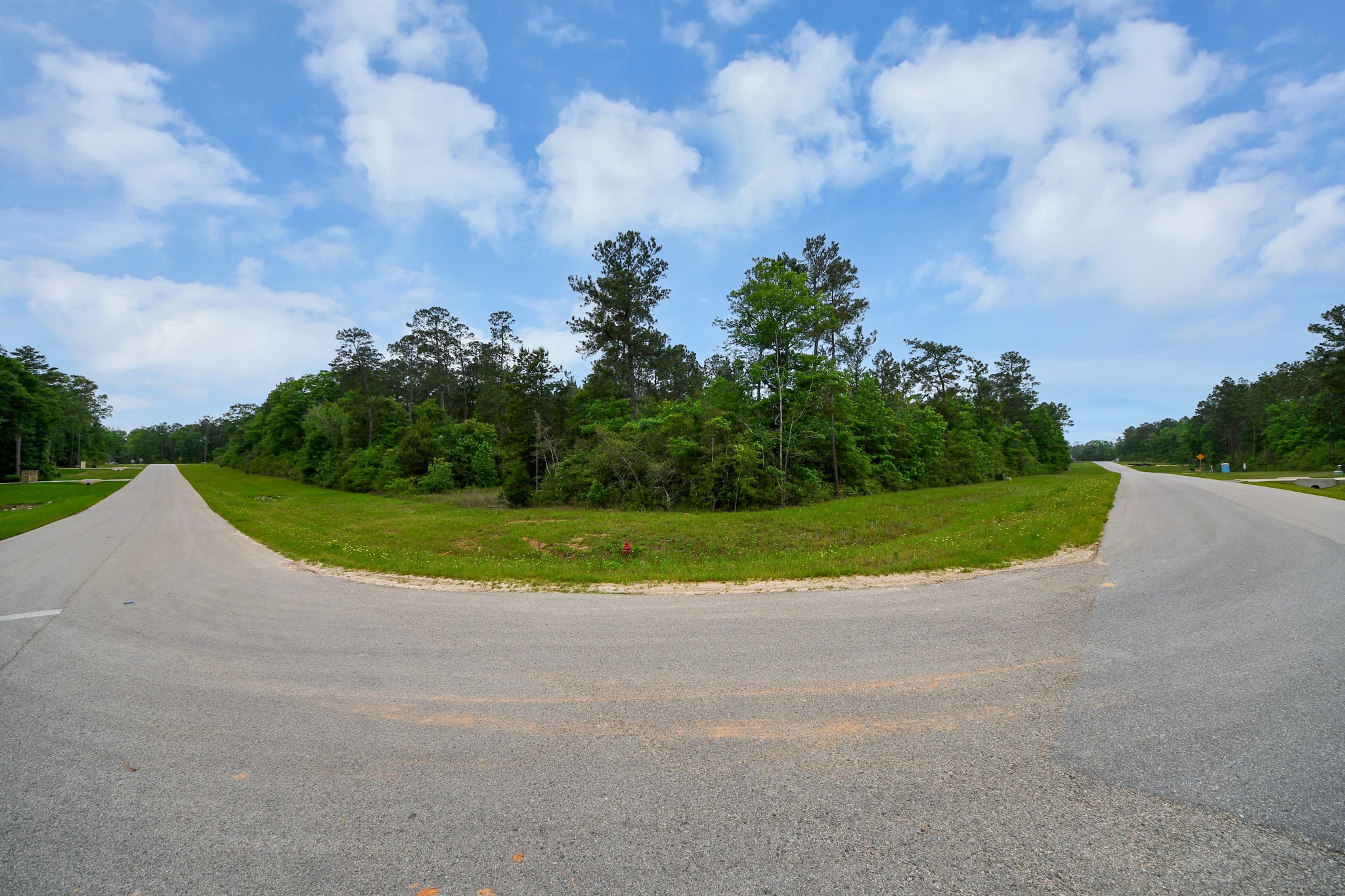 10517 Single Shot Lane Willis, TX 77378 - Photo 22 of 42 a view of a house with a big yard