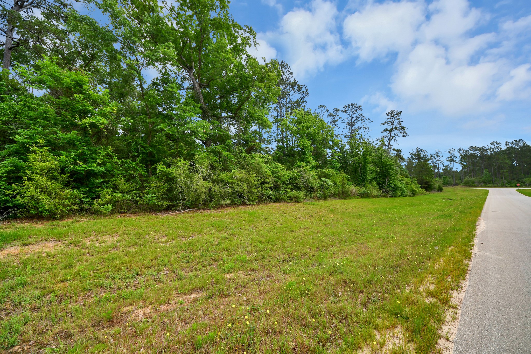 10517 Single Shot Lane Willis, TX 77378 - Photo 25 of 42