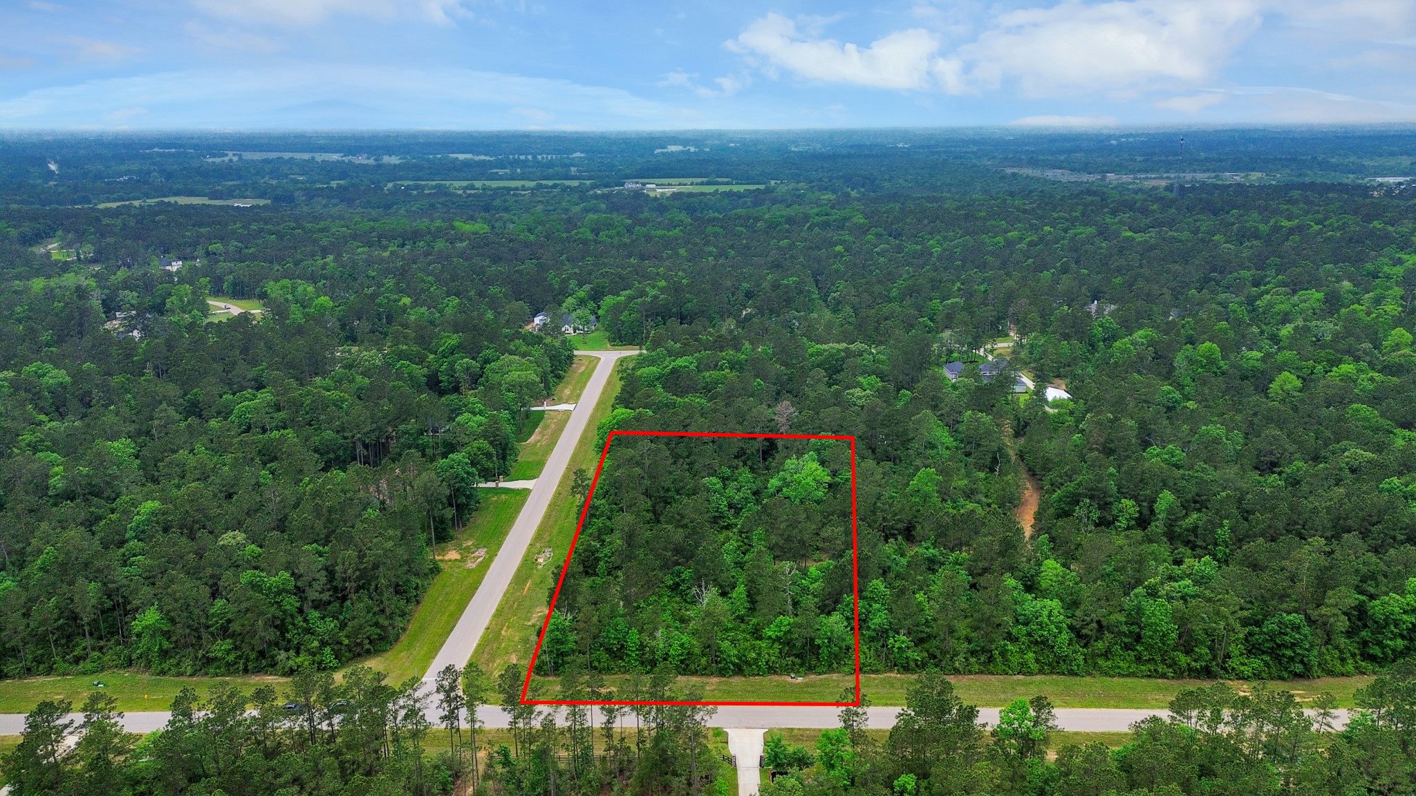 10517 Single Shot Lane Willis, TX 77378 - Photo 31 of 42 a view of a city with lush green forest