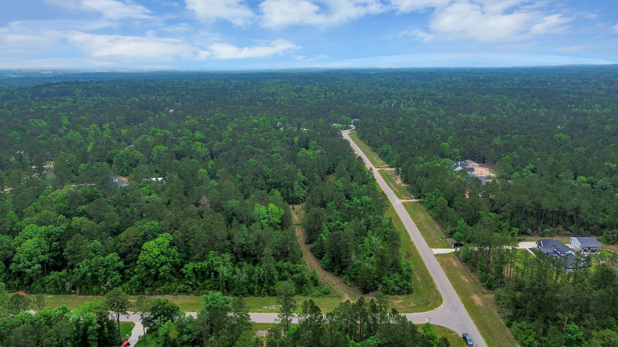 10517 Single Shot Lane Willis, TX 77378 - Photo 4 of 42 a view of a city with lush green forest