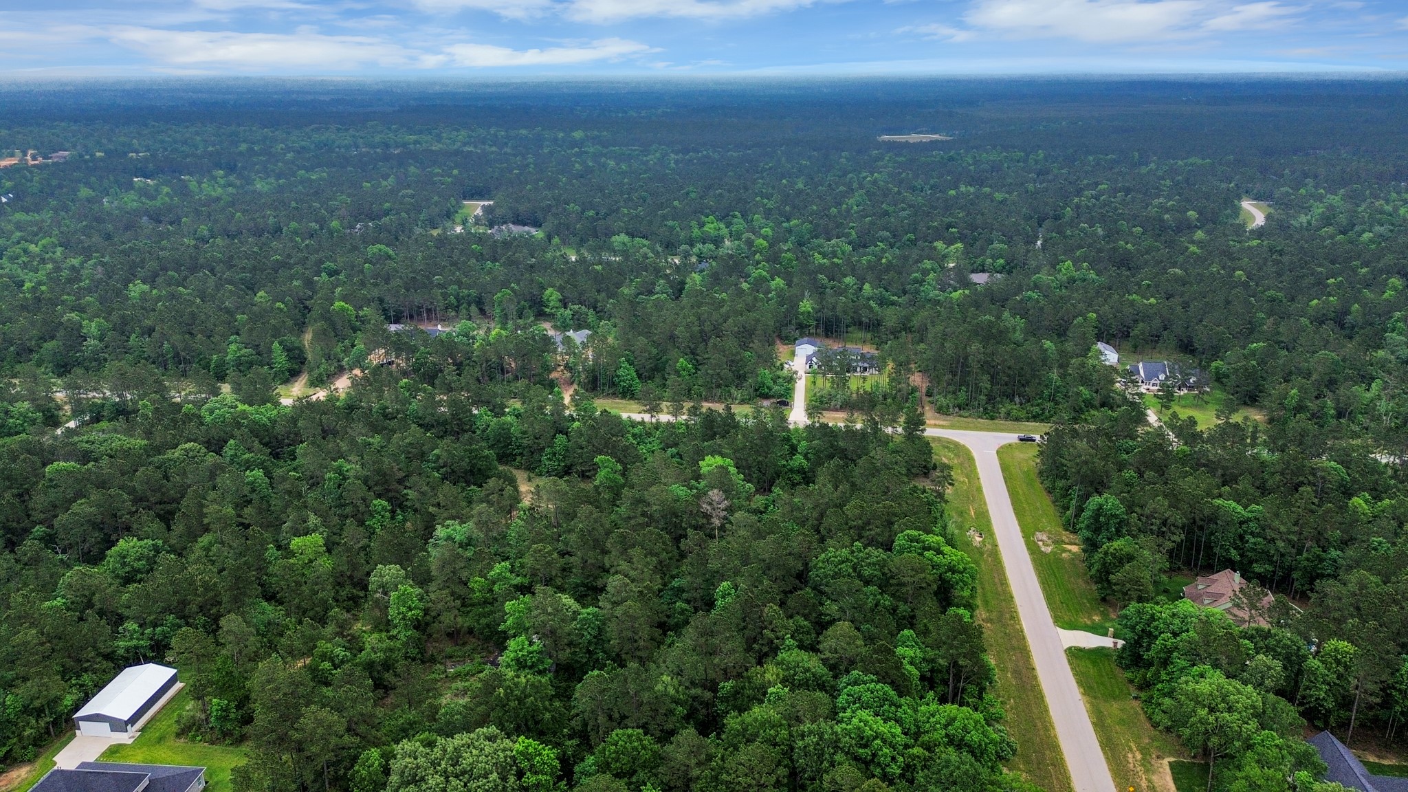 10517 Single Shot Lane Willis, TX 77378 - Photo 6 of 42 a view of a city with lush green forest