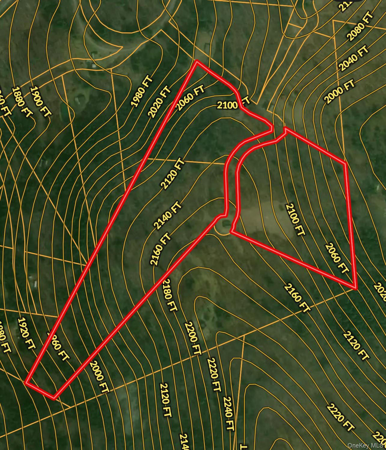 295 Emerald Heights Road Delancey, NY 13752 - Photo 2 of 30 Topographical Survey. Illustrating elevation contours and property boundaries