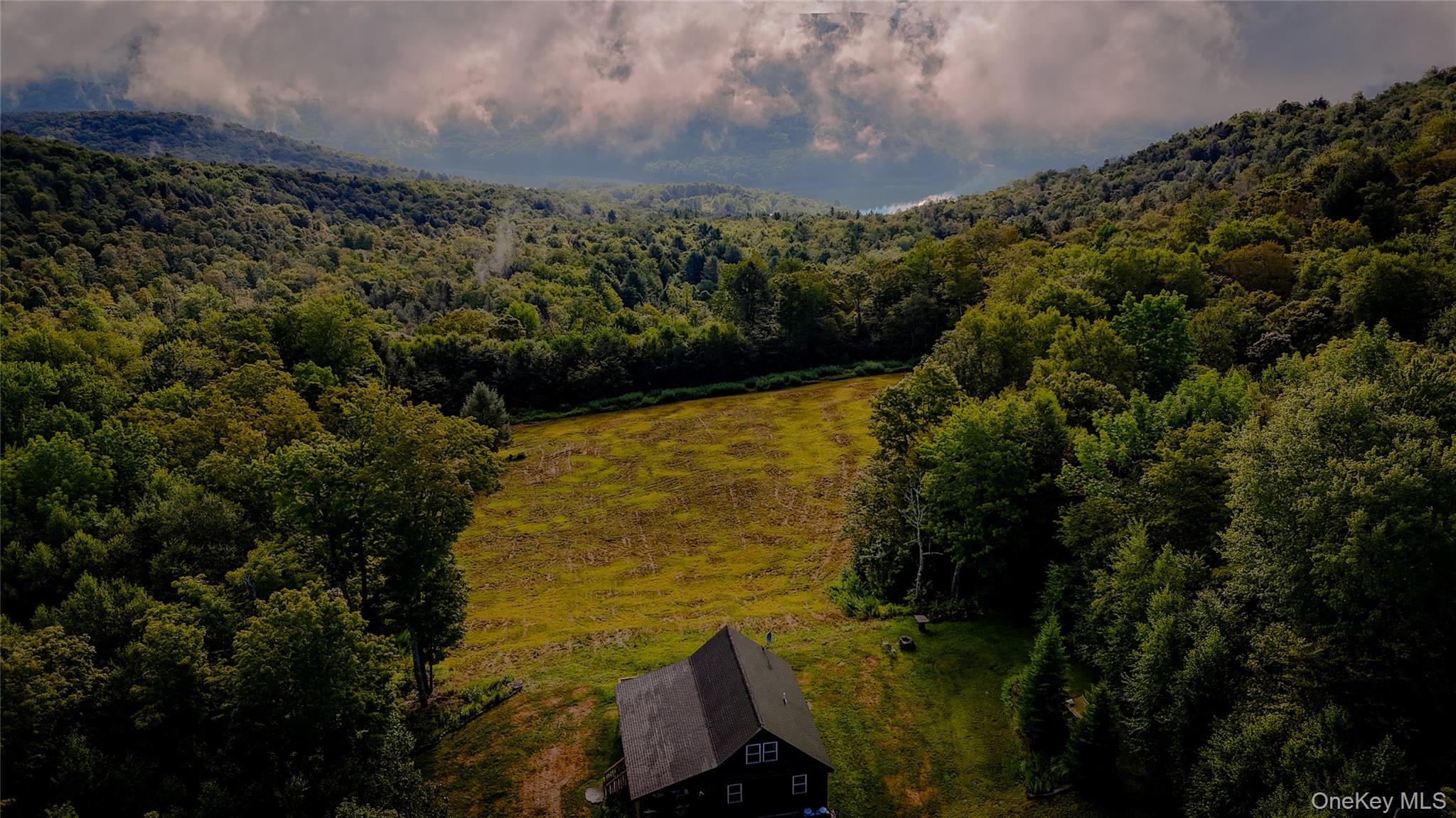 295 Emerald Heights Road Delancey, NY 13752 - Photo 27 of 30