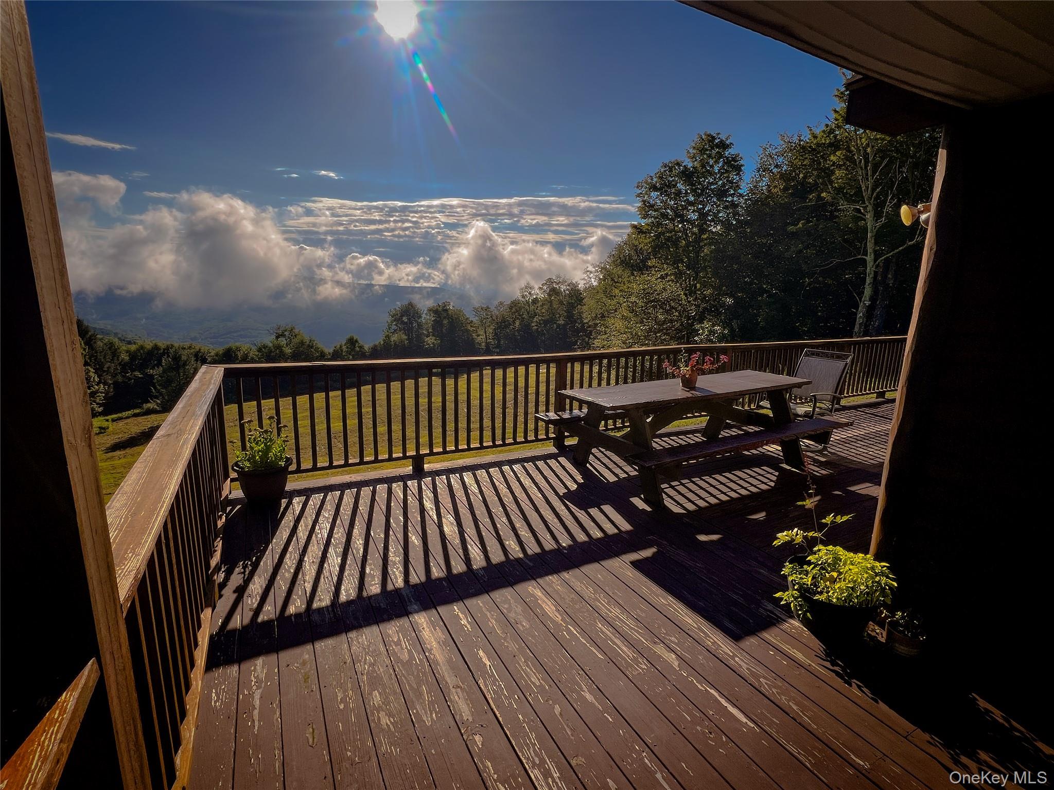 295 Emerald Heights Road Delancey, NY 13752 - Photo 3 of 30 Wood-finish deck with railing overlooking a scenic mountain backdrop and expansive natural surroundings