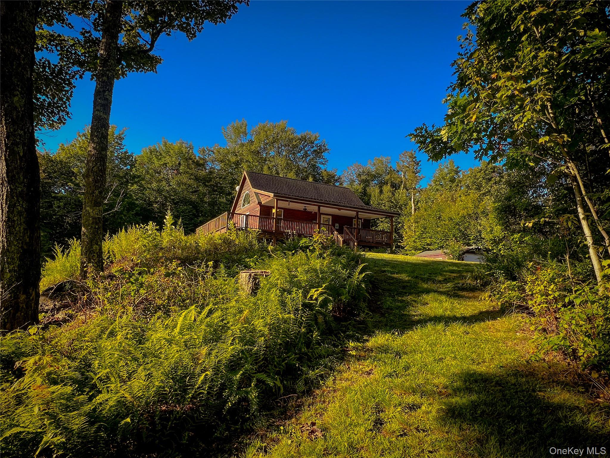 295 Emerald Heights Road Delancey, NY 13752 - Photo 8 of 30 Wood-sided cabin with a covered porch and outdoor decking, set amidst mature trees and natural landscaping