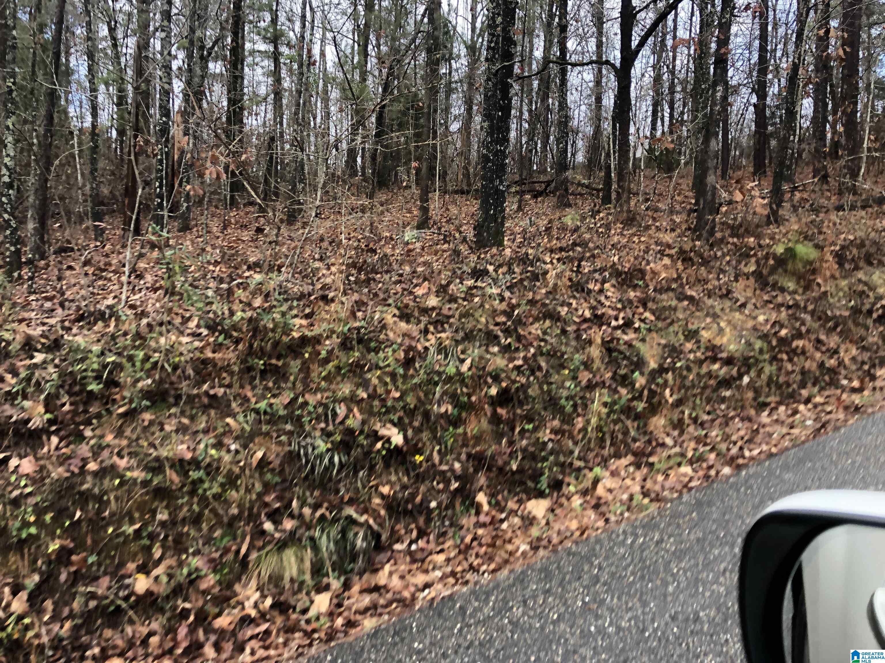 0 Autumn Ridge Trail, Unit 26 Pell City, AL 35128 - Photo 24 of 31