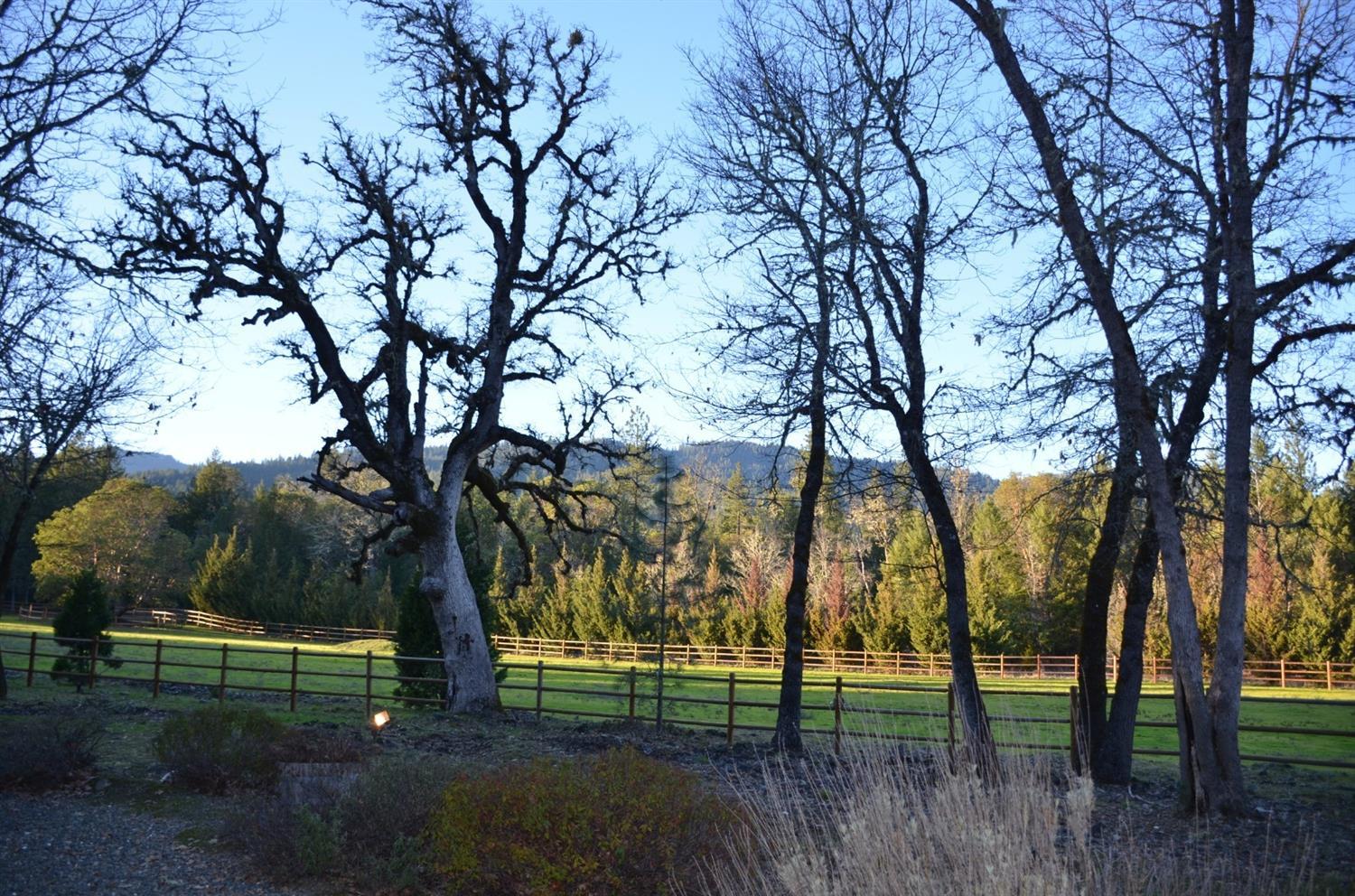 2211 Kincaid Road Williams, OR 97544 - Photo 18 of 35 TREE-LINED PASTURES