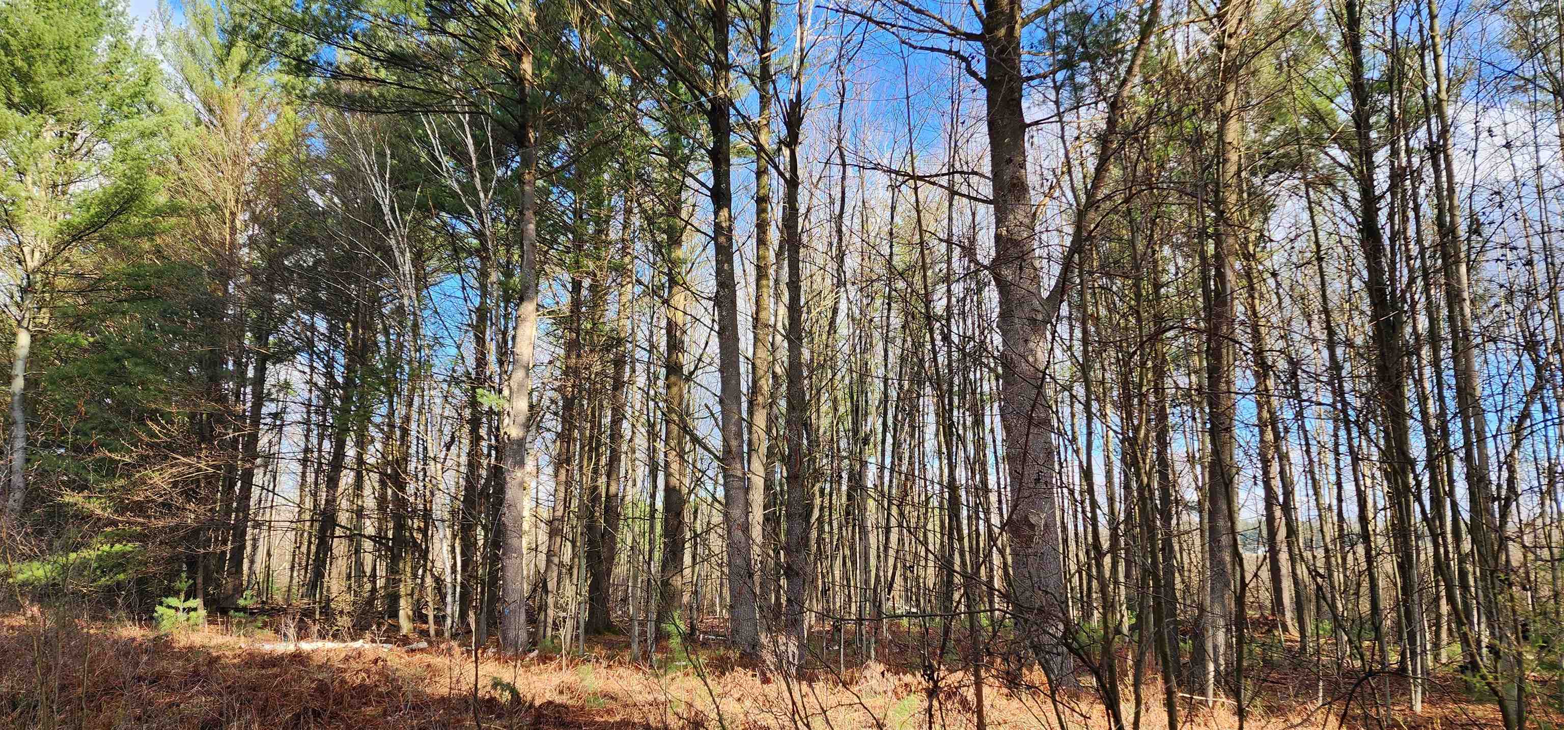 0 West Conners Road Twining, MI 48766 - Photo 2 of 8