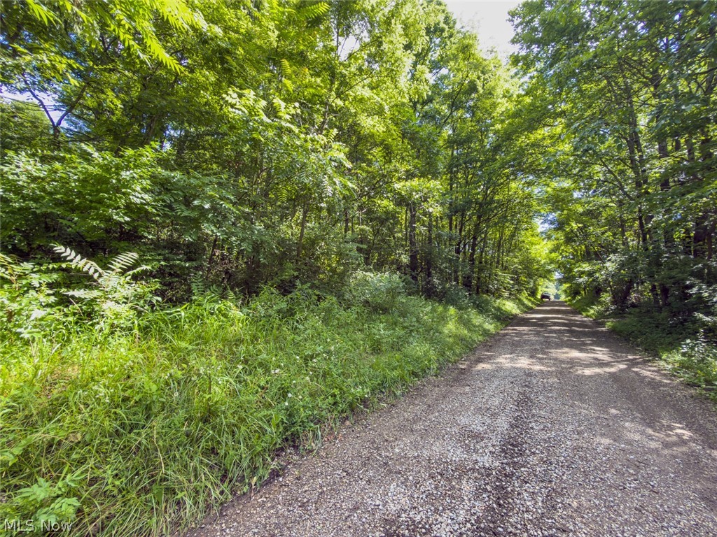 6985 Brush Run Road Cambridge, OH 43725 - Photo 7 of 50