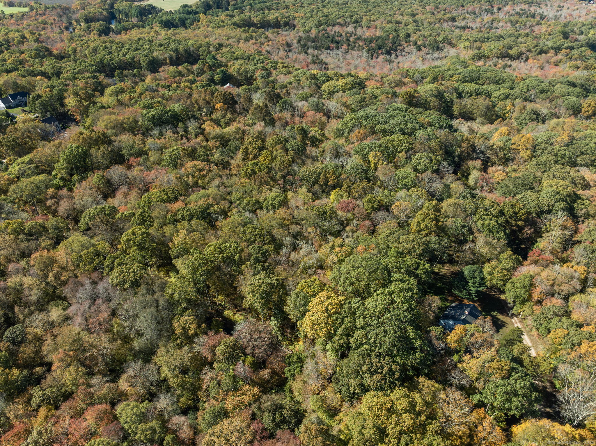 16 North Anguilla Road North Stonington, CT 06359 - Photo 4 of 9 view of a yard of a house