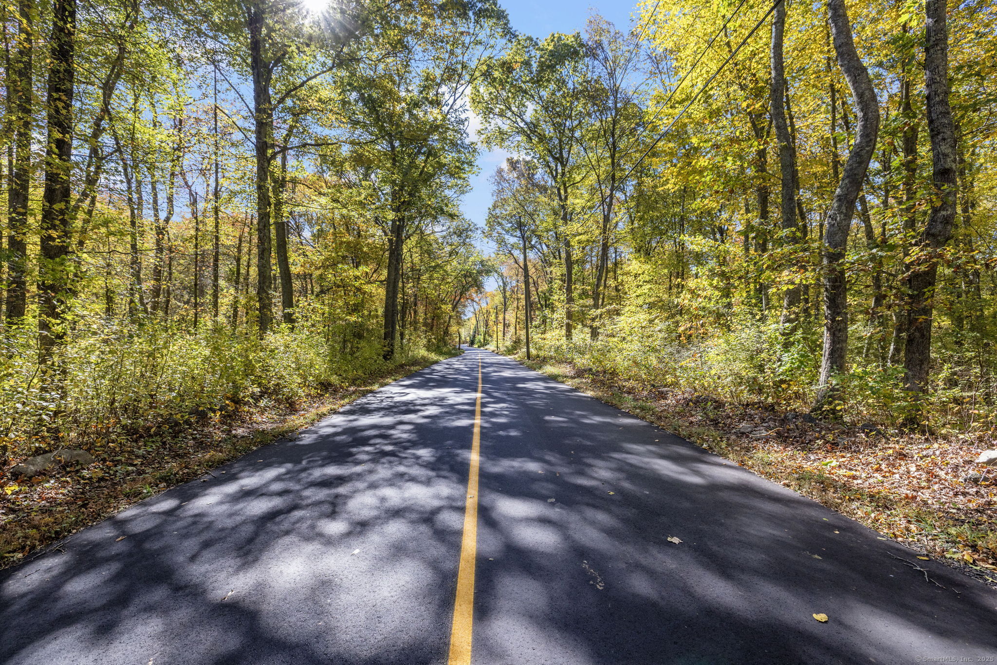 16 North Anguilla Road North Stonington, CT 06359 - Photo 8 of 9 a view of backyard with green space