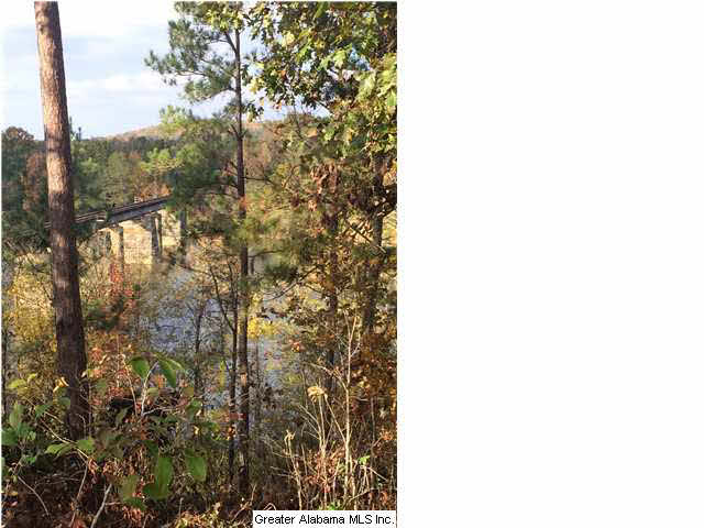 0 Highway 77, Unit 24 AC Ohatchee, AL 36271 - Photo 7 of 13