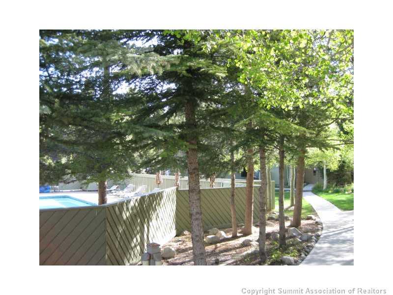 1132 Flying Dutchman Road, Unit 1132 Keystone, CO 80435 - Photo 12 of 13 Gallery Image 12