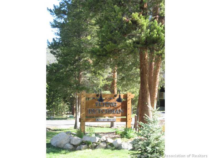 1132 Flying Dutchman Road, Unit 1132 Keystone, CO 80435 - Photo 13 of 13 Gallery Image 13