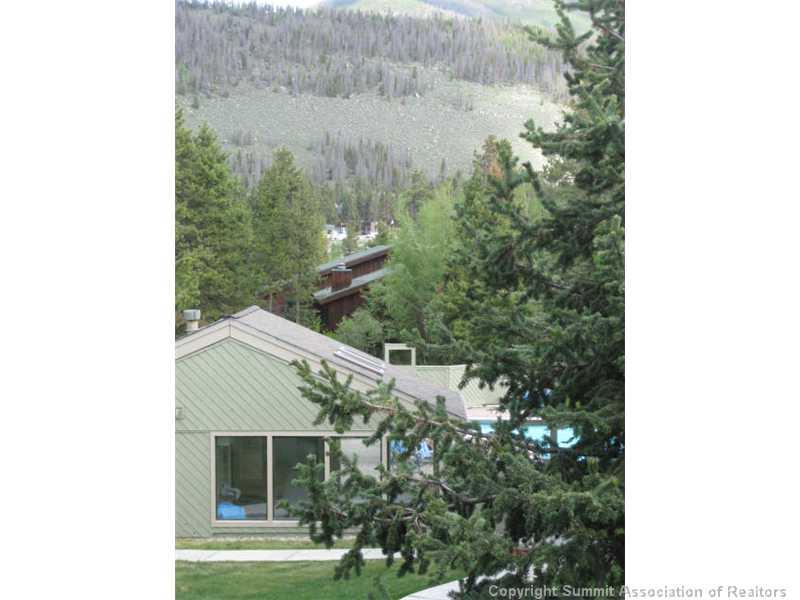 1132 Flying Dutchman Road, Unit 1132 Keystone, CO 80435 - Photo 10 of 13 Gallery Image 10