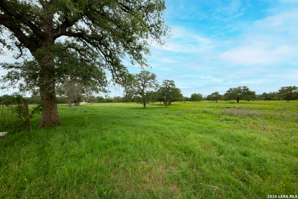 104 Longhorn Road Stockdale, TX 78160 - Photo 31 of 47 a backyard of a house with lots of green space