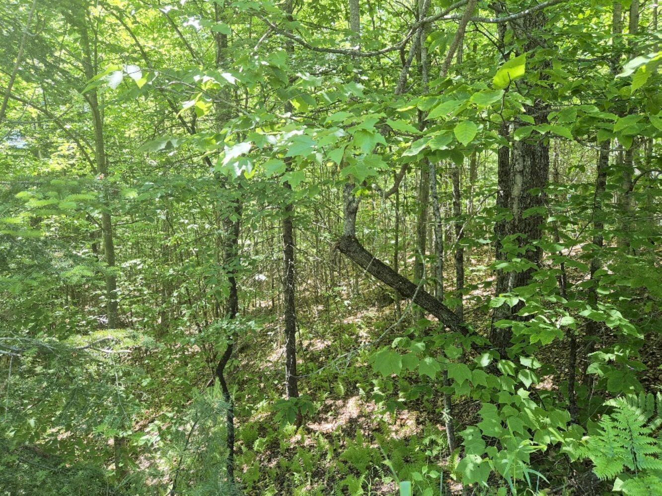 Mu23-l19b Holley Road Farmington, ME 04938 - Photo 4 of 6