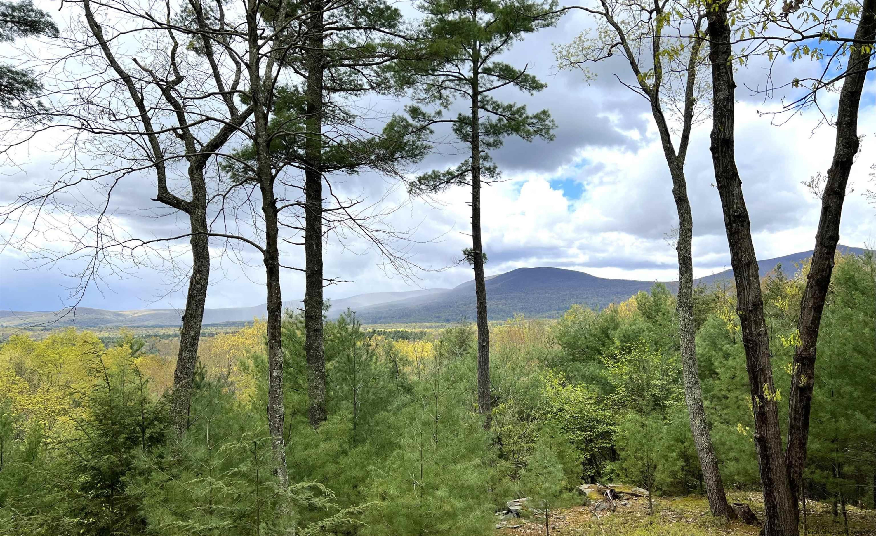 61 Rocky Road Olivebridge, NY 12461 - Photo 22 of 29 Photo 22