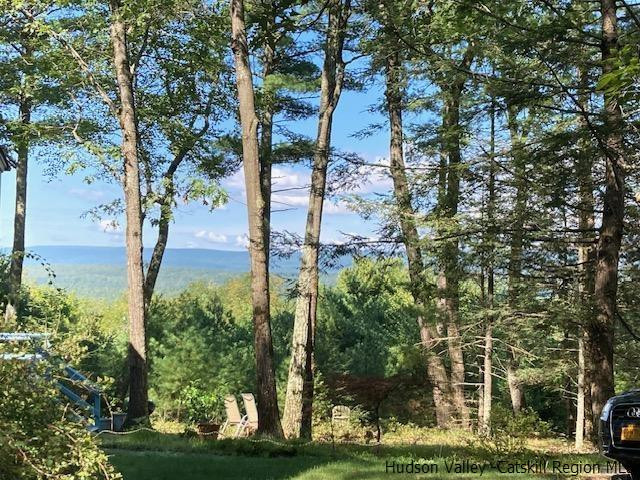 61 Rocky Road Olivebridge, NY 12461 - Photo 24 of 29 Photo 24